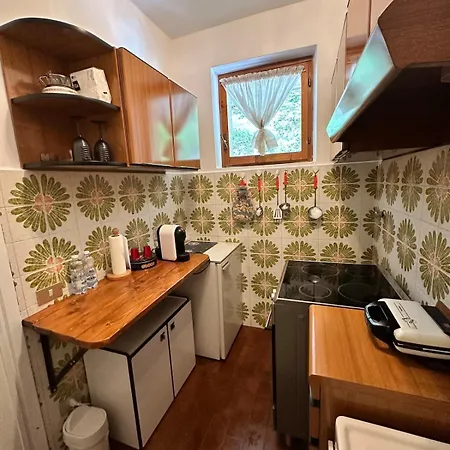 Accogliente Monolocale In Centro A Apartament Branzi